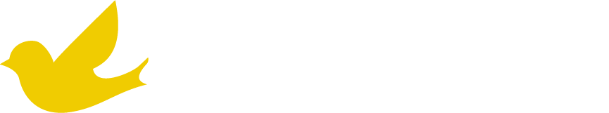 Canary Software